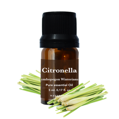 aceite esencial de citronela